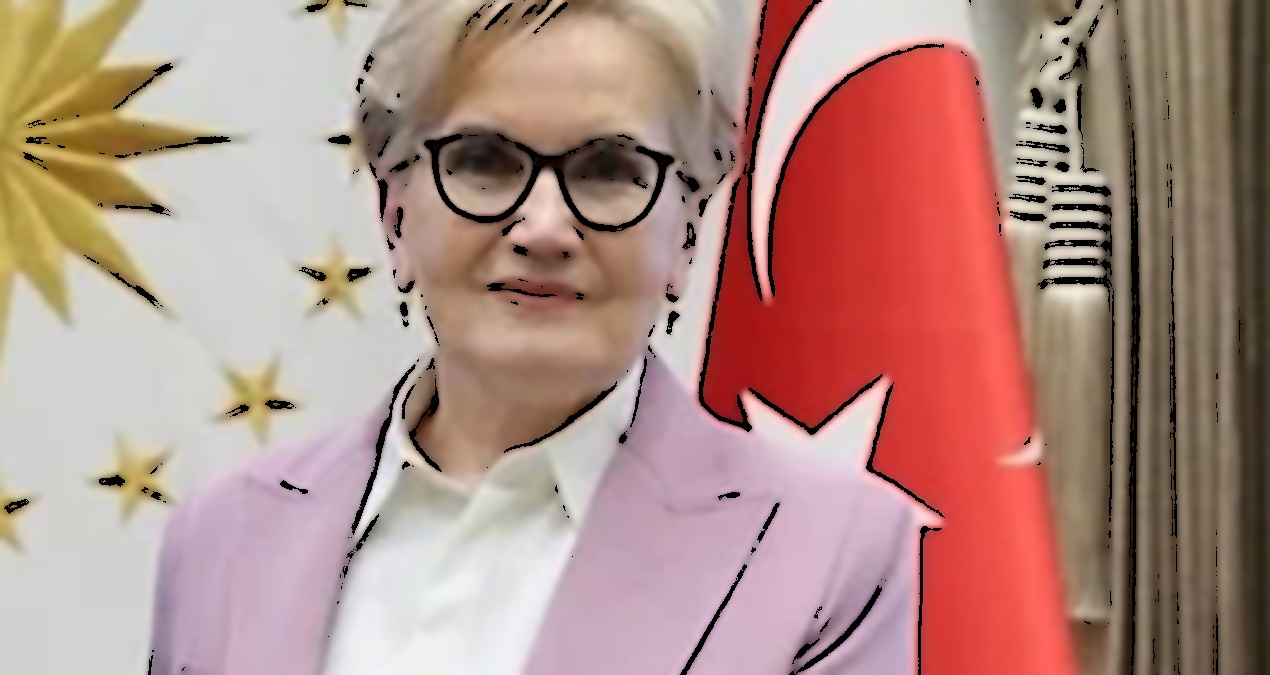 Meral Akşener'in Siyaset Geçmişi ve İddialar Üzerine Gelişmeler